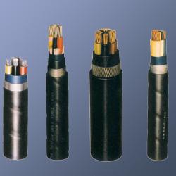 电力电缆