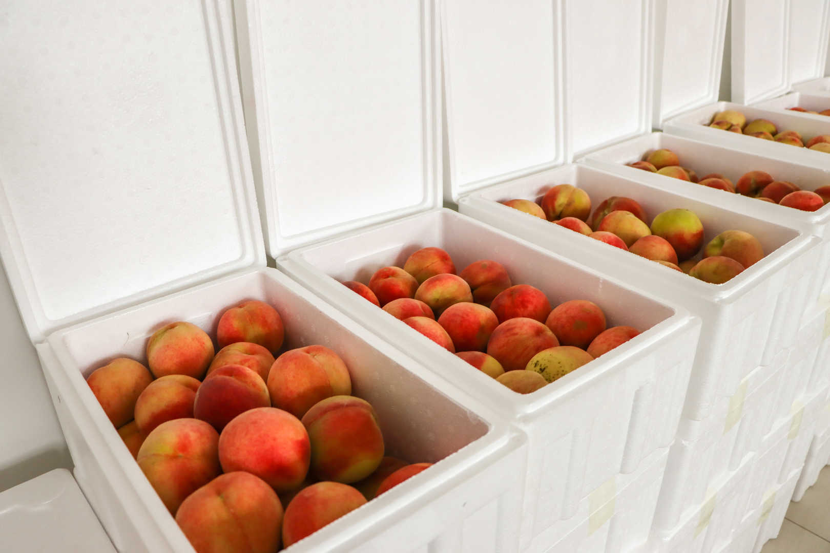 【甜蜜关怀】滨澳桃香漫工位，助农暖心两相宜！